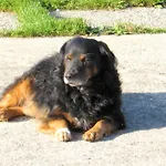Garni Da Vito *
