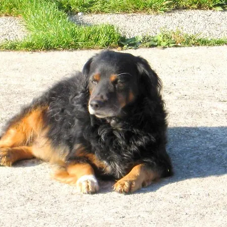 Garni Da Vito *
